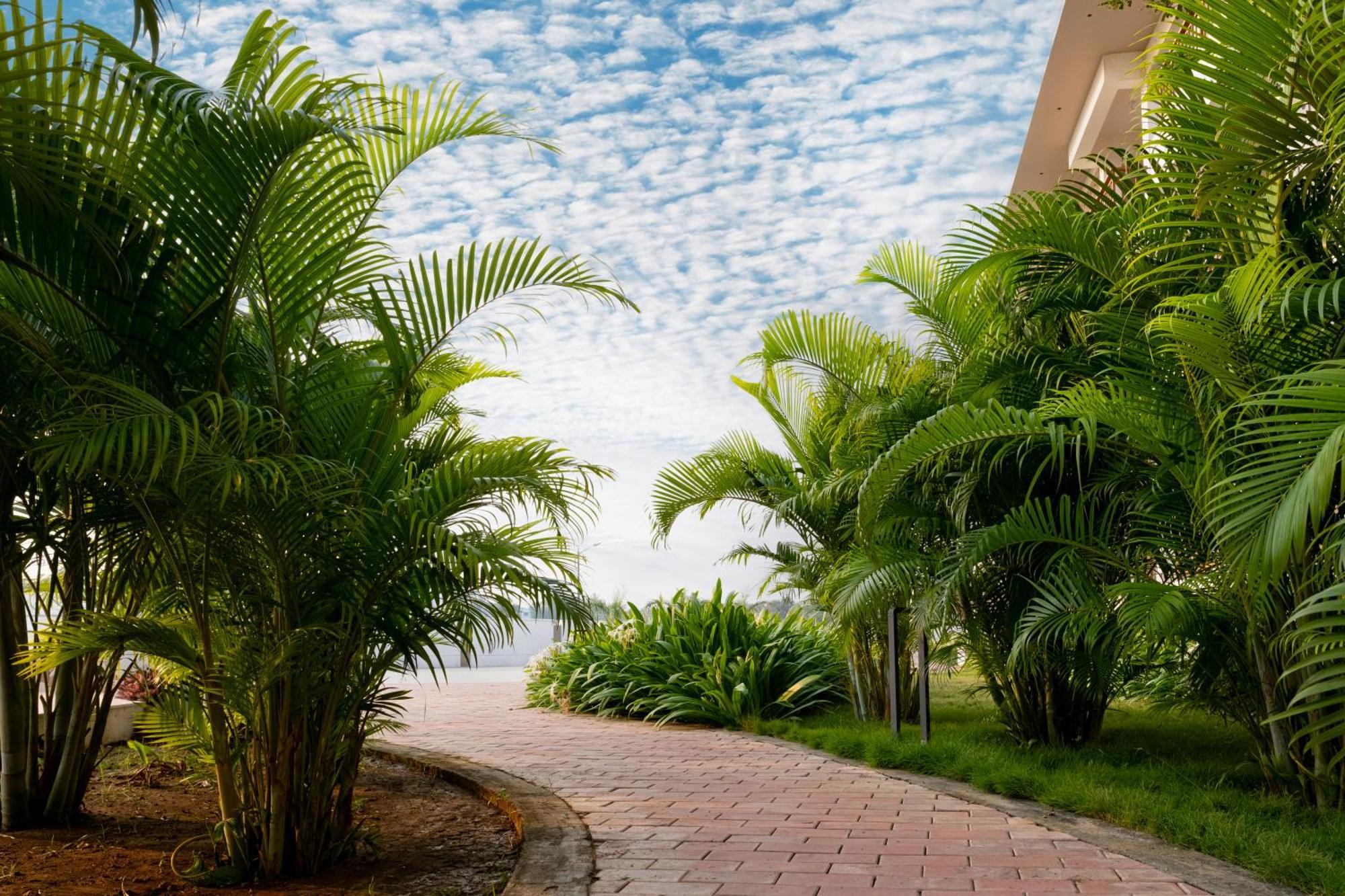 Palm Regal Resort Gopālpur Εξωτερικό φωτογραφία